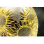 Солонка Золотое яичко - увеличенное изображение рисунка